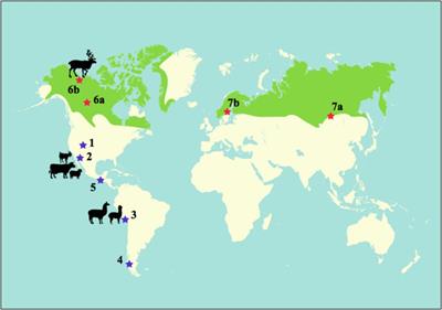 Herding Ecologies and Ongoing Plant Domestication Processes in the Americas